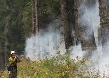 Funds woes, federal cuts places WA plans in danger as wildfire season nears