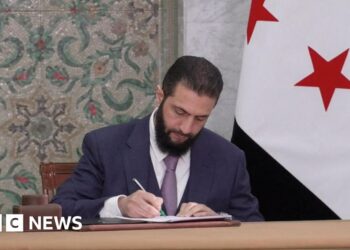 Syria will get non permanent structure for five-year transition