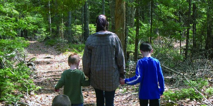 A Future The place Nature Thrives: Donating to a Charity in your Will