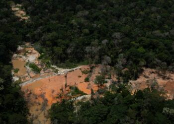 Unlawful gold mining has destroyed over 4,000 hectares of Amazon rainforest in simply 4 Indigenous territories previously two years, warns Greenpeace. As Brazil’s high importer of gold, Canada should act. 
